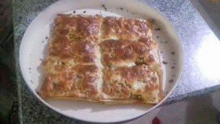 فر برقی گوزل فر